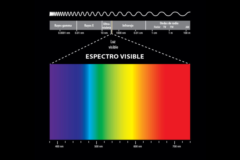 La luz visible se extiende desde el color “violeta” hasta el color “rojo”.