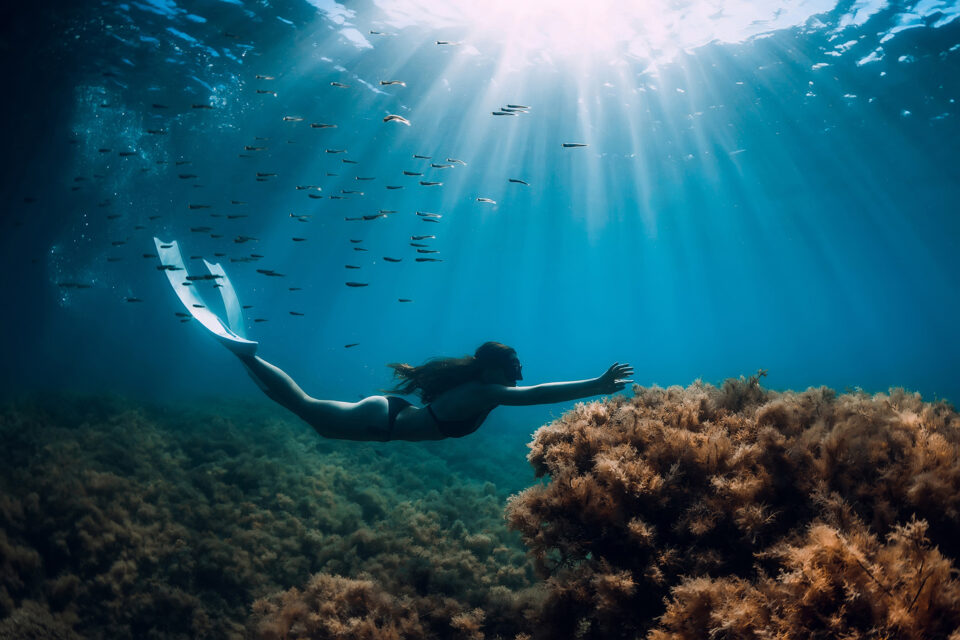 Si l’on descend profondément dans les profondeurs des océans, il y a une présence profonde de silence, de puissance et d’aventure potentielle.