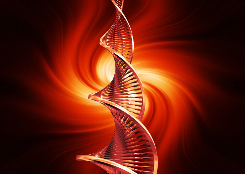 an image depicting cleansing the DNA